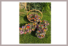 krauter_web3